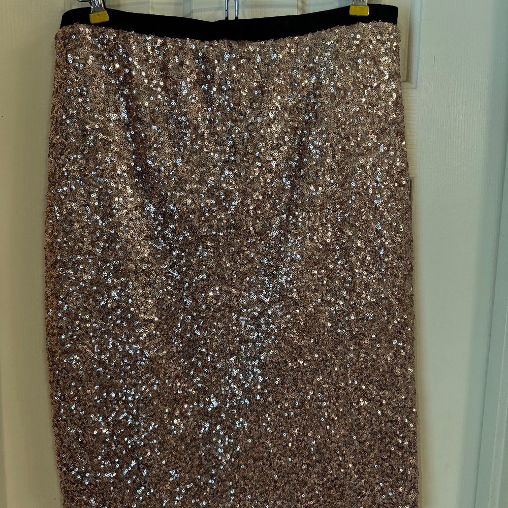 The Limited Sequin Skirt, size M